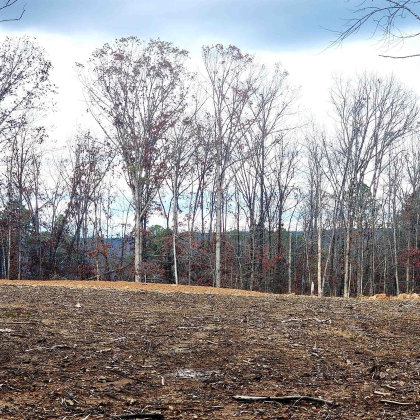 PRIME 10.82 Acres with NO RESTRICTIONS - Your Dream Property - photo 4