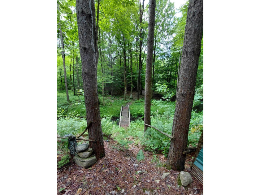 How cool is this!! 1.6 Acres of woods and privacy! You can get - photo 10