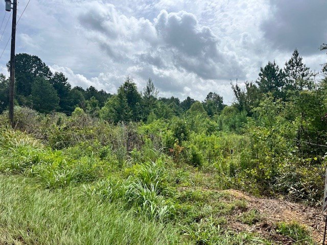 This 13+ acre tract with utilities nearby in the Bogue Chitto - photo 2