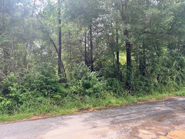 Beautiful home site in North Pike School District with lots of - photo 2