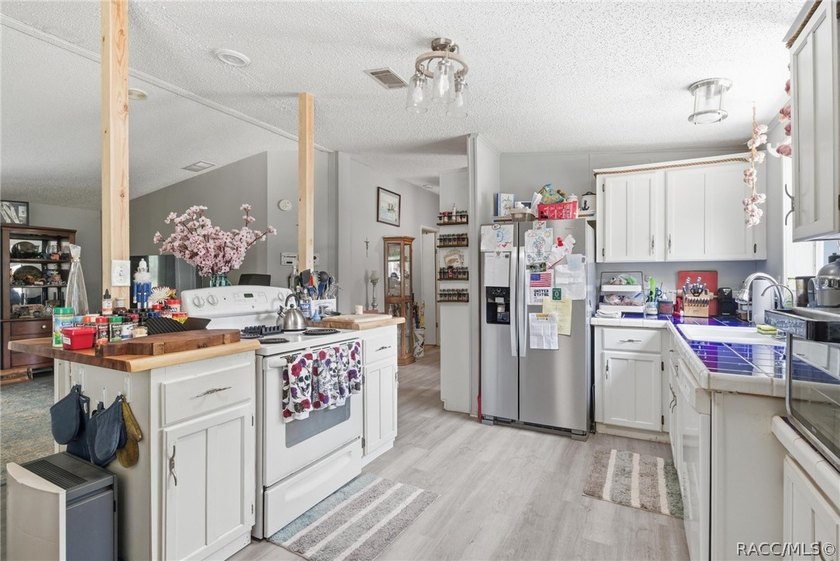 Welcome to the Heart of Old Homosassa - 11065 W Townsend Lane - photo 12