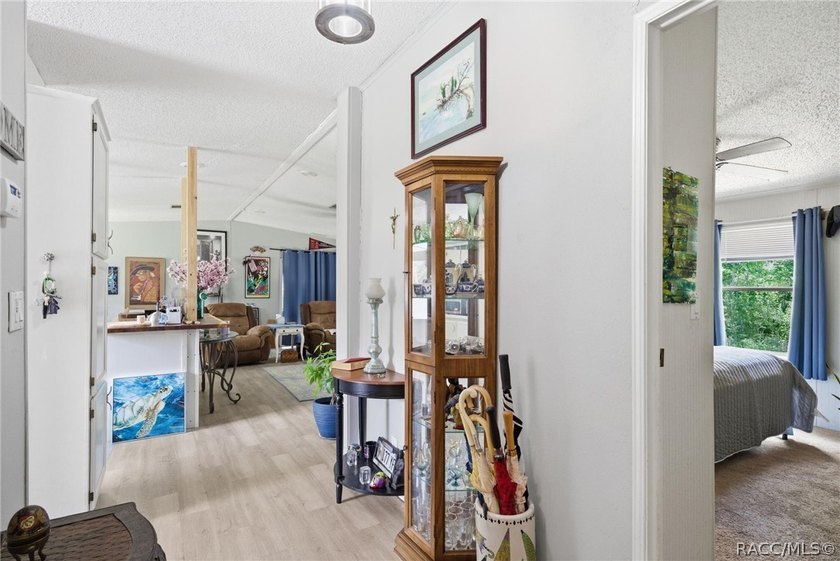 Welcome to the Heart of Old Homosassa - 11065 W Townsend Lane - photo 22