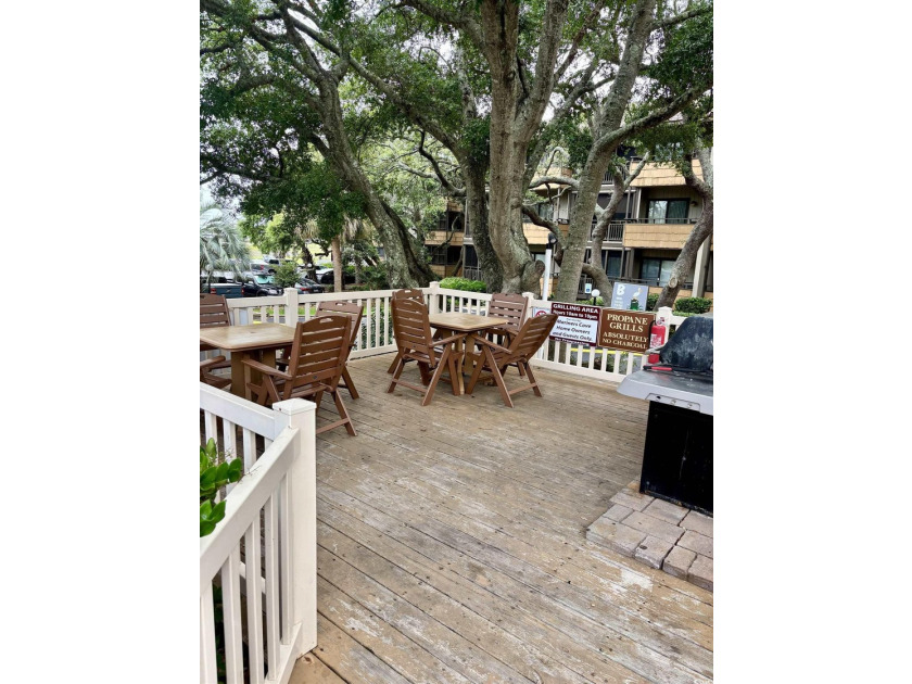 This wonderful 2BR/2BA fully furnished condominium is located - photo 29