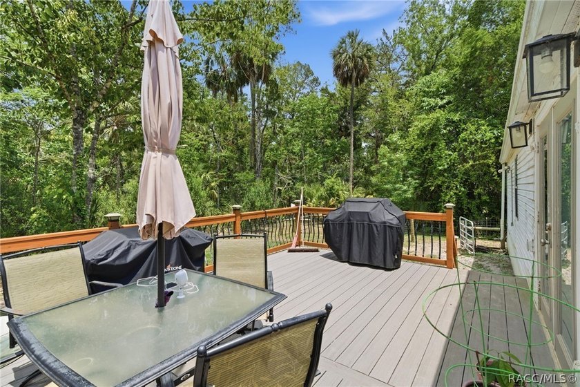 Welcome to the Heart of Old Homosassa - 11065 W Townsend Lane - photo 36