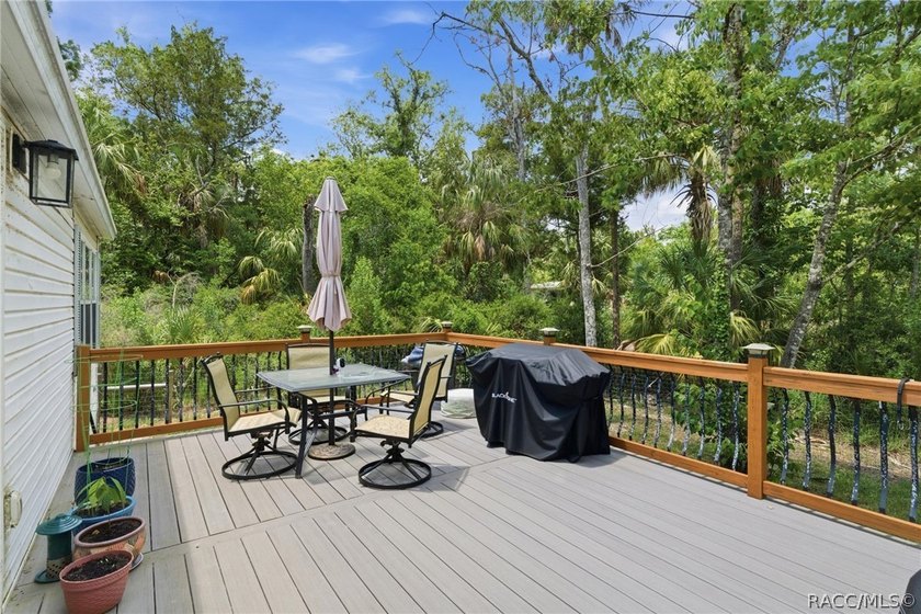 Welcome to the Heart of Old Homosassa - 11065 W Townsend Lane - photo 37