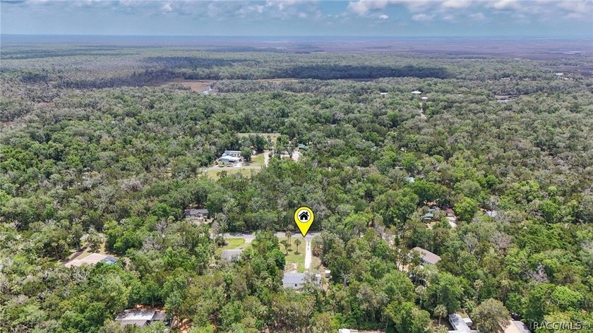 Welcome to the Heart of Old Homosassa - 11065 W Townsend Lane - photo 43