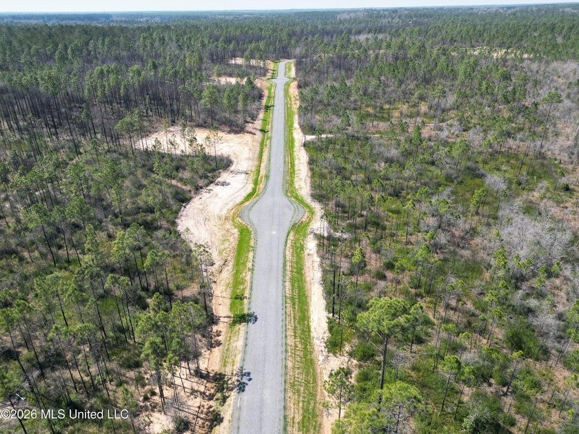 8.6 acres on a new gravel road. Has water frontage on - photo 5