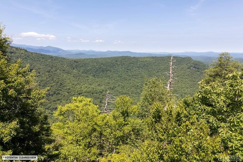 Captivating long-range views of the Blue Ridge Mountains await! - photo 14
