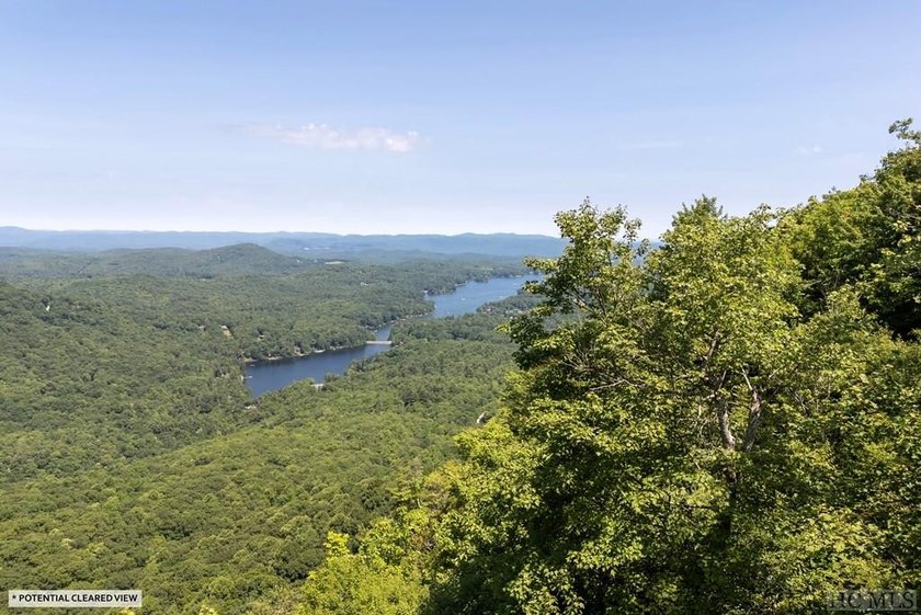Captivating long-range views of the Blue Ridge Mountains await! - photo 16