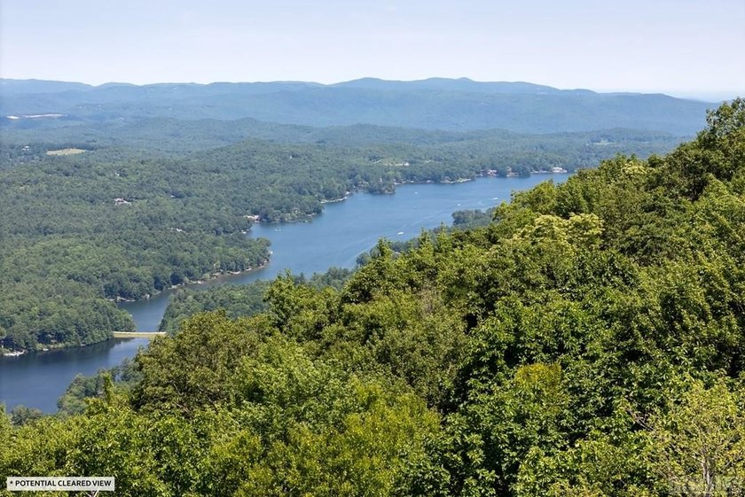Captivating long-range views of the Blue Ridge Mountains await! - photo 17