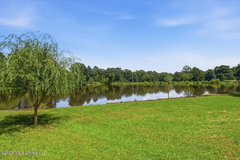 Welcome to 238 Kiowa Drive, Madison, MS-a beautiful 4-bedroom - photo 47