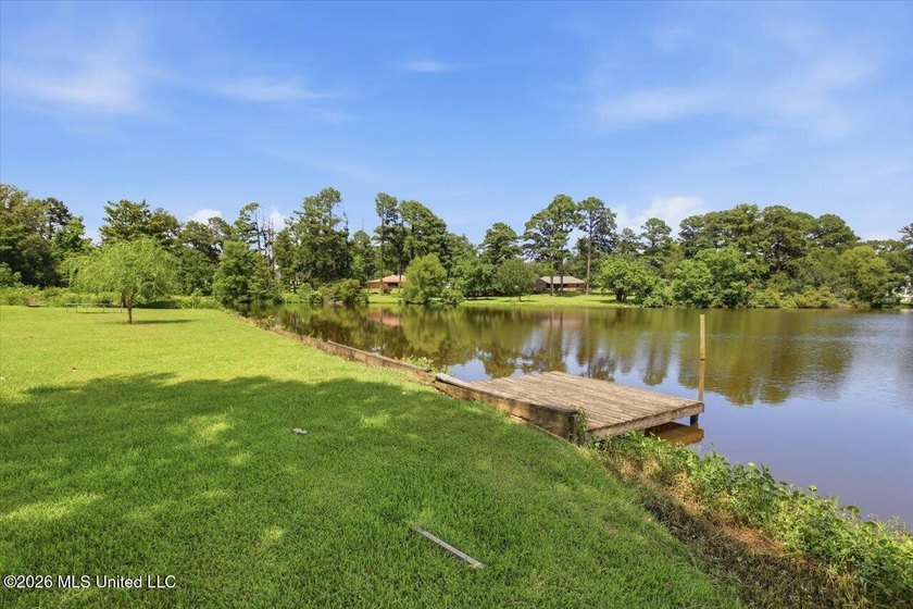 Welcome to 238 Kiowa Drive, Madison, MS-a beautiful 4-bedroom - photo 50