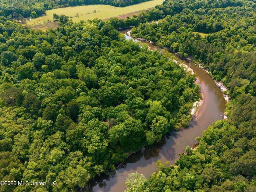 Escape to your own private retreat on beautiful Tallahala Creek - photo 2