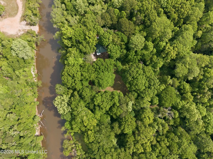 Escape to your own private retreat on beautiful Tallahala Creek - photo 5