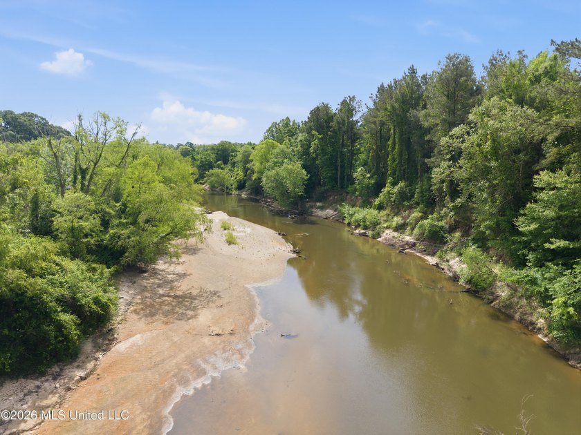 Escape to your own private retreat on beautiful Tallahala Creek - photo 8