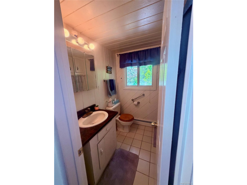 Don't miss this well-maintained ranch offers 3 bedrooms, 2 full - photo 11