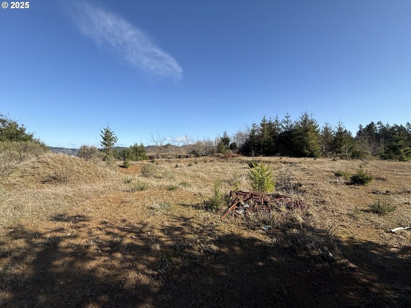 Don't miss this opportunjity. Vacant Lot with Spectacular Ocean - photo 3