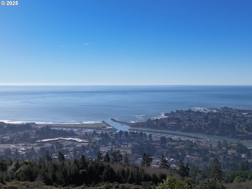 Don't miss this opportunjity. Vacant Lot with Spectacular Ocean - photo 6