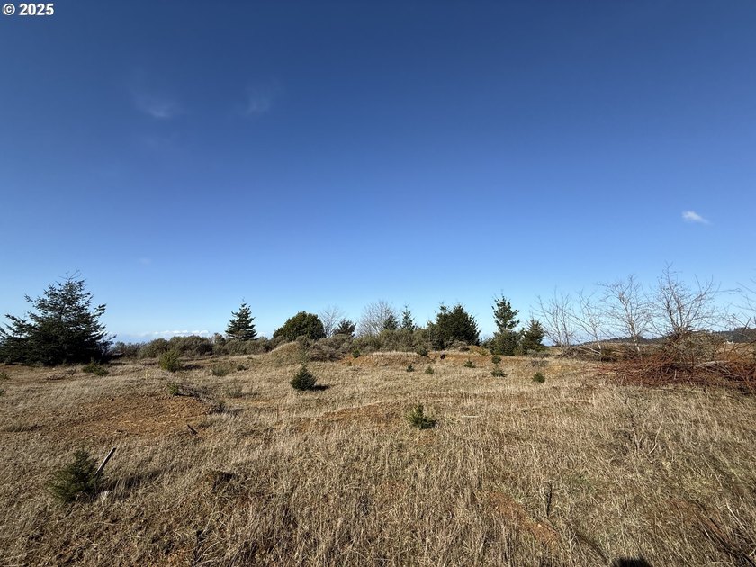 Don't miss this opportunjity. Vacant Lot with Spectacular Ocean - photo 7