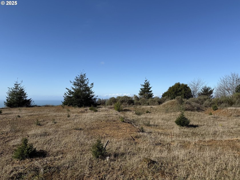 Don't miss this opportunjity. Vacant Lot with Spectacular Ocean - photo 8