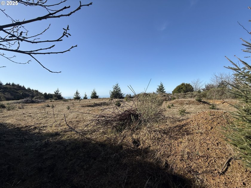 Don't miss this opportunjity. Vacant Lot with Spectacular Ocean - photo 10