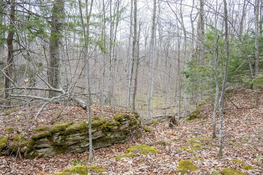 Beautifully wooded lot within a short distance to Waterview - photo 7