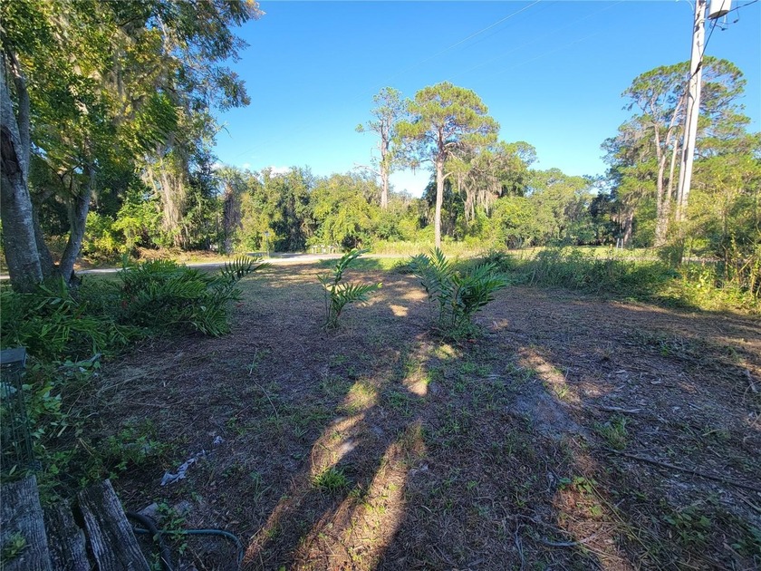 Discover the charm of *Old Florida* living with this unique - photo 36