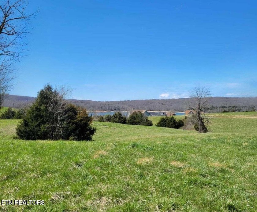 Welcome to Lot 266 on Russell Brothers Rd--a 1.14-acre luxury - photo 2
