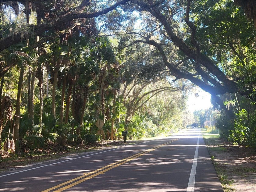 Discover the charm of *Old Florida* living with this unique - photo 58
