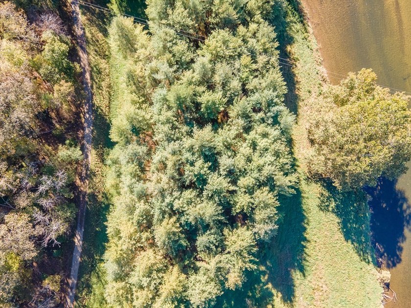 Experience the ultimate riverside retreat on this premier 5-acre - photo 11