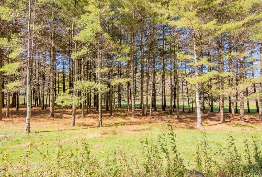Experience the ultimate riverside retreat on this premier 5-acre - photo 19
