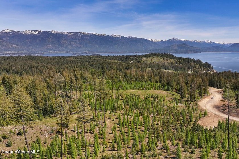Estate Lot 16 at Camp Bay offers an extraordinary opportunity to - photo 12