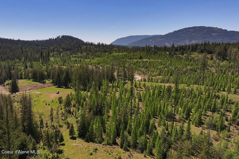 Estate Lot 16 at Camp Bay offers an extraordinary opportunity to - photo 15