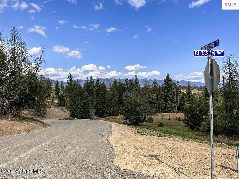Estate Lot 16 at Camp Bay offers an extraordinary opportunity to - photo 23