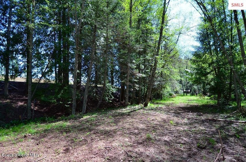 Estate Lot 16 at Camp Bay offers an extraordinary opportunity to - photo 27