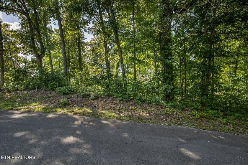 Experience the ultimate lakeside lifestyle on this stunning - photo 2