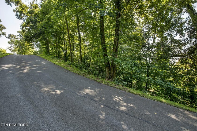 Experience the ultimate lakeside lifestyle on this stunning - photo 6