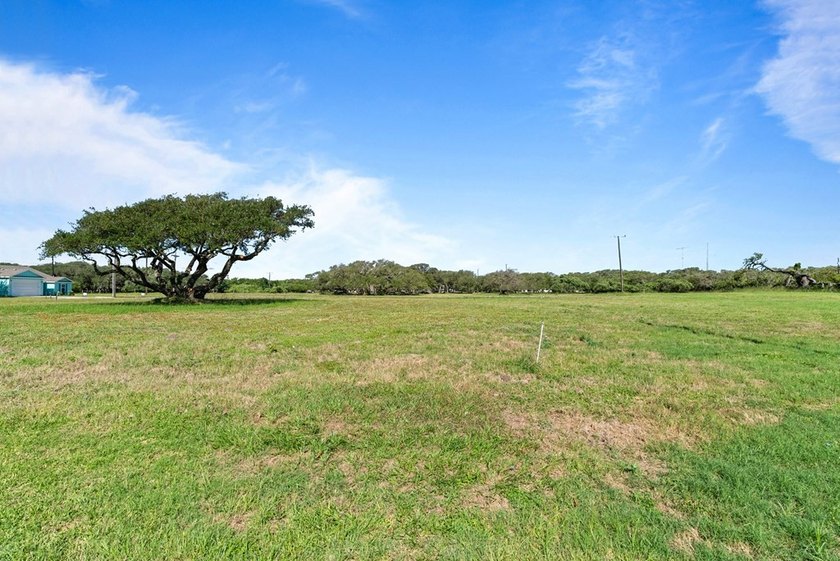 Prime, corner homesite with Majestic Oak - Minutes from Downtown - photo 3