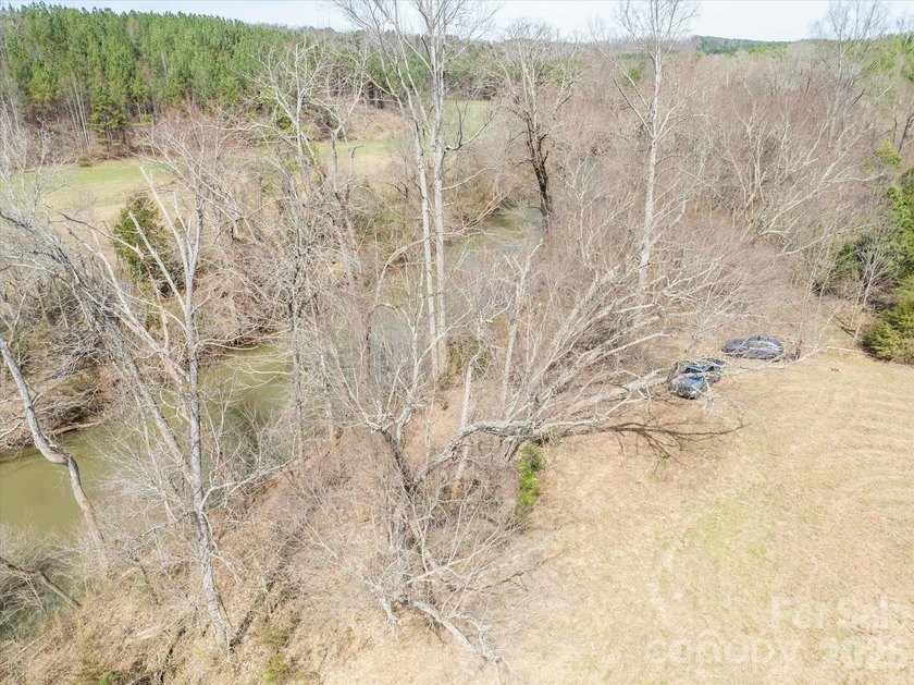 Flat, usable pastures and river frontage...look no further! This - photo 12