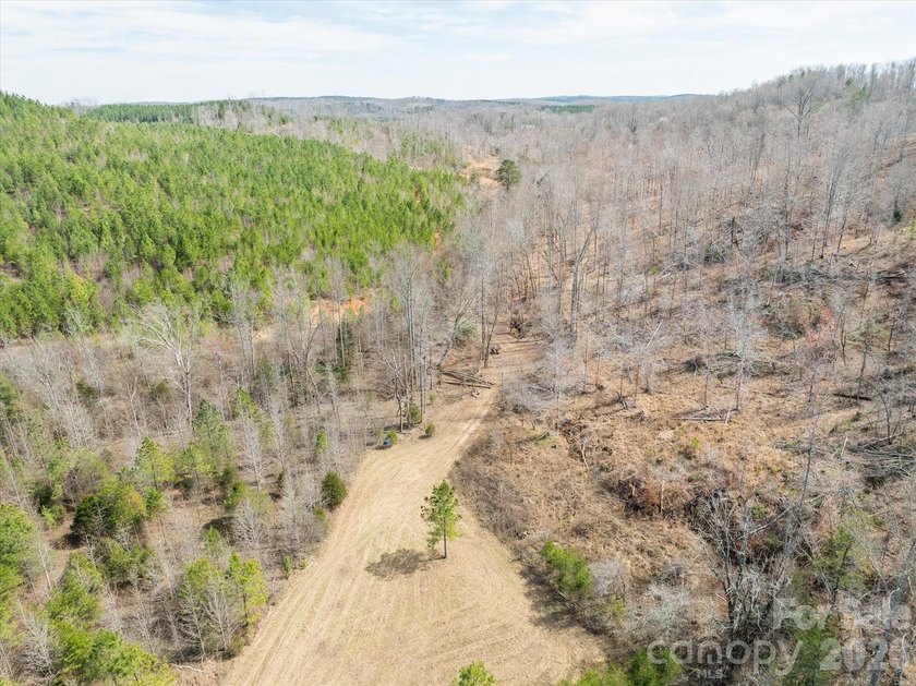 Flat, usable pastures and river frontage...look no further! This - photo 15
