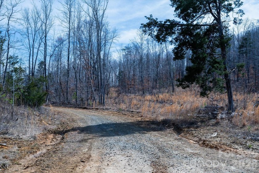 Flat, usable pastures and river frontage...look no further! This - photo 17