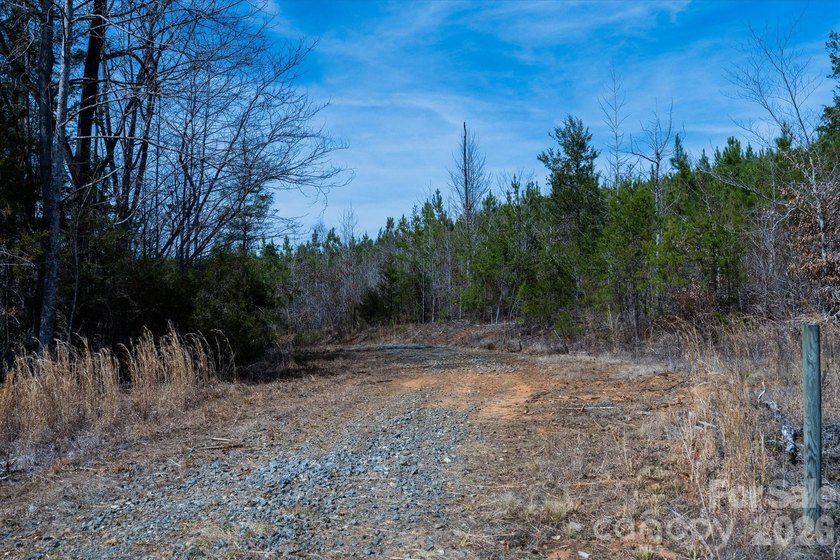 Flat, usable pastures and river frontage...look no further! This - photo 18