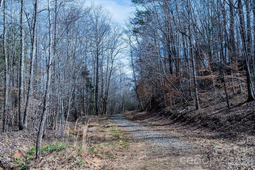 Flat, usable pastures and river frontage...look no further! This - photo 20