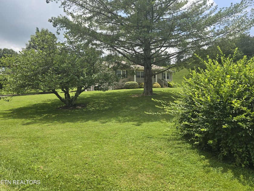 This adorable, fully updated 3 bedroom, 2 full bath home sits on - photo 4