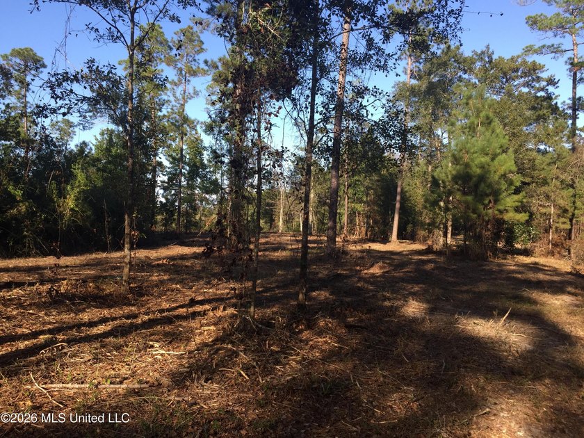Approx 16.66 acres with approx 880' on the Jourdan River. Some - photo 3