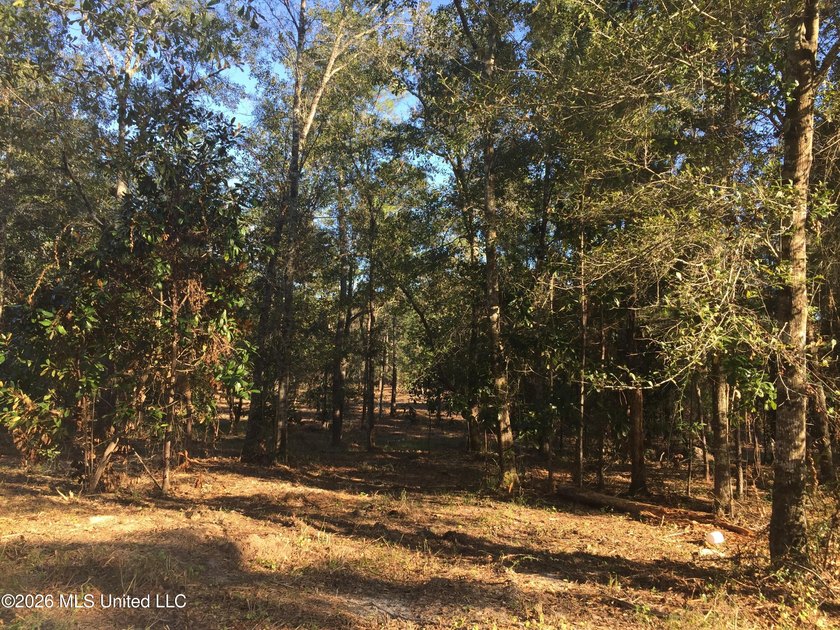 Approx 16.66 acres with approx 880' on the Jourdan River. Some - photo 6