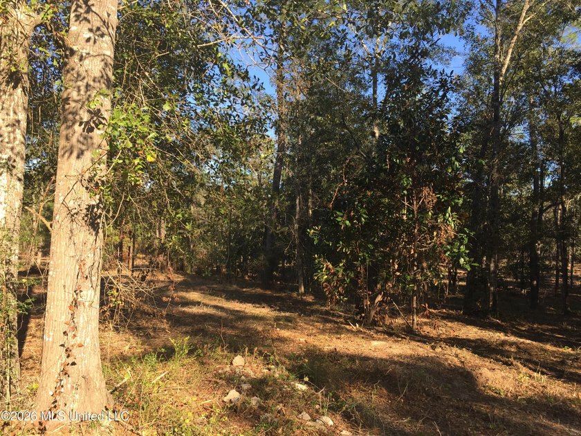 Approx 16.66 acres with approx 880' on the Jourdan River. Some - photo 7