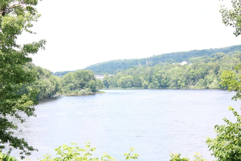20+ Nicely Wooded Acres of Your Own Wilderness Paradise. A Lush - photo 11