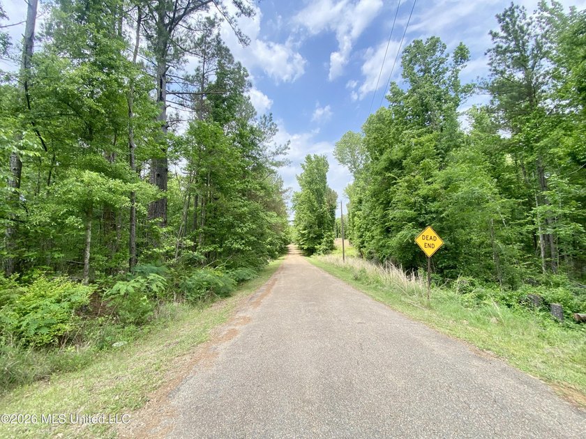 Secluded 43+ acre tract located off Hwy 27 just east of Utica - photo 3