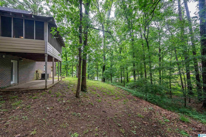 Welcome to 13265 Donna Drive in Million Dollar Lakes, where - photo 40